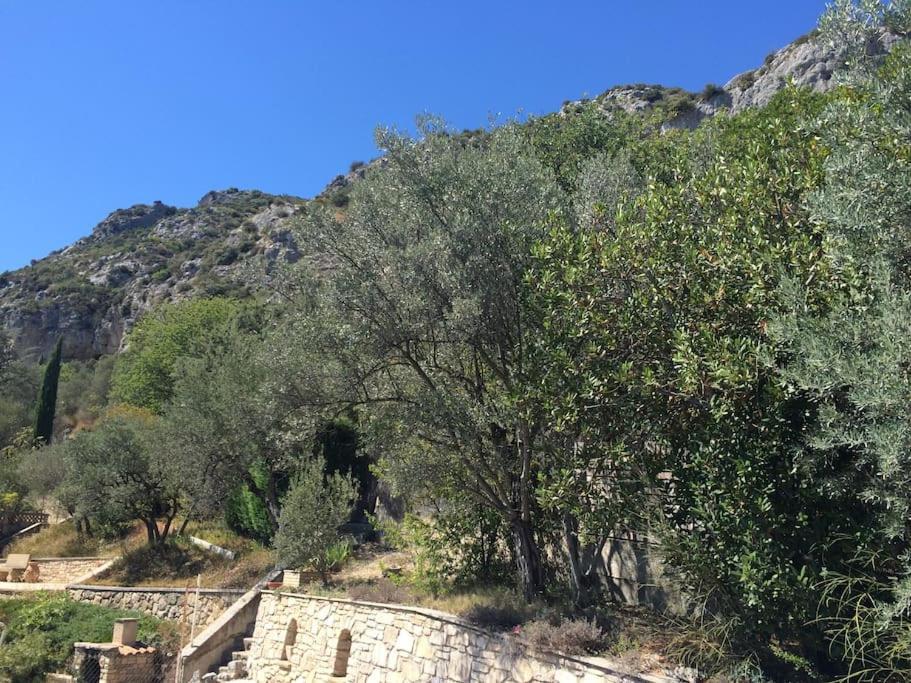 Appartement Sur La Colline Avec Acces Piscine Volx Extérieur photo